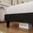 Cleo Modern Velvet Upholstered Platform Bed with Headboard, No Box Spring Needed-1133392924-1138839784