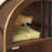 Cat Litter Box Enclosure