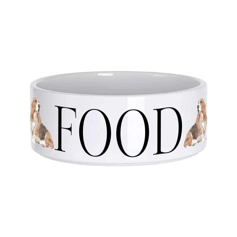Vivid Squid Wholesale Ceramic / Porcelain Decorative Bowl 1