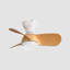 Kyleon 23'' Ceiling Fan with LED Lights-1116884329-1116884335