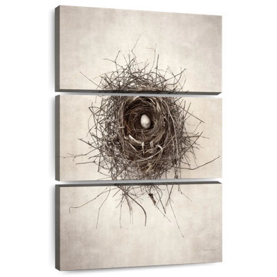 Brampt Nest