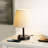 Daina Metal USB Desk Lamp