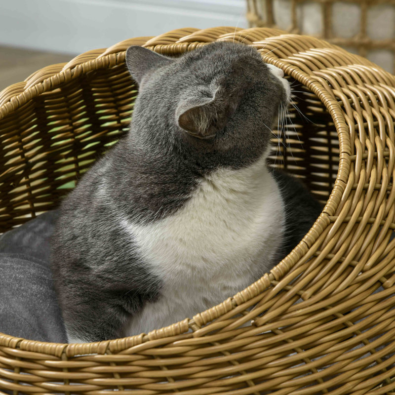 Nest Pet Bed
