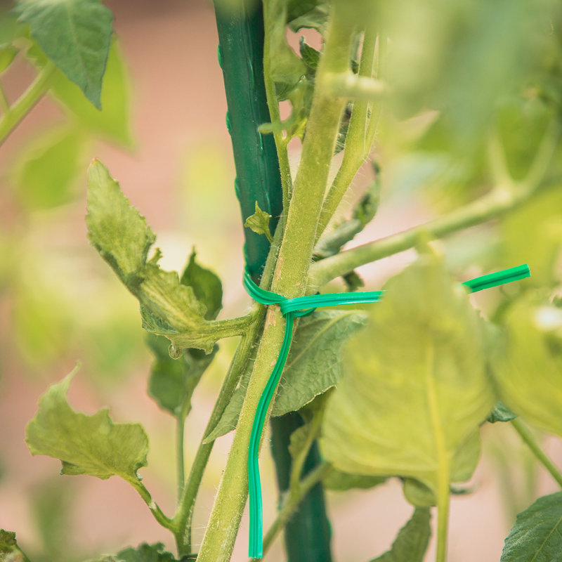 Support robuste pour plantes avec coupe vihaan