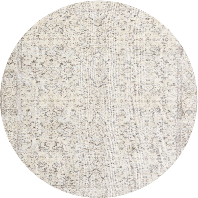 Cito Oriental Indoor Rug, Round 5'