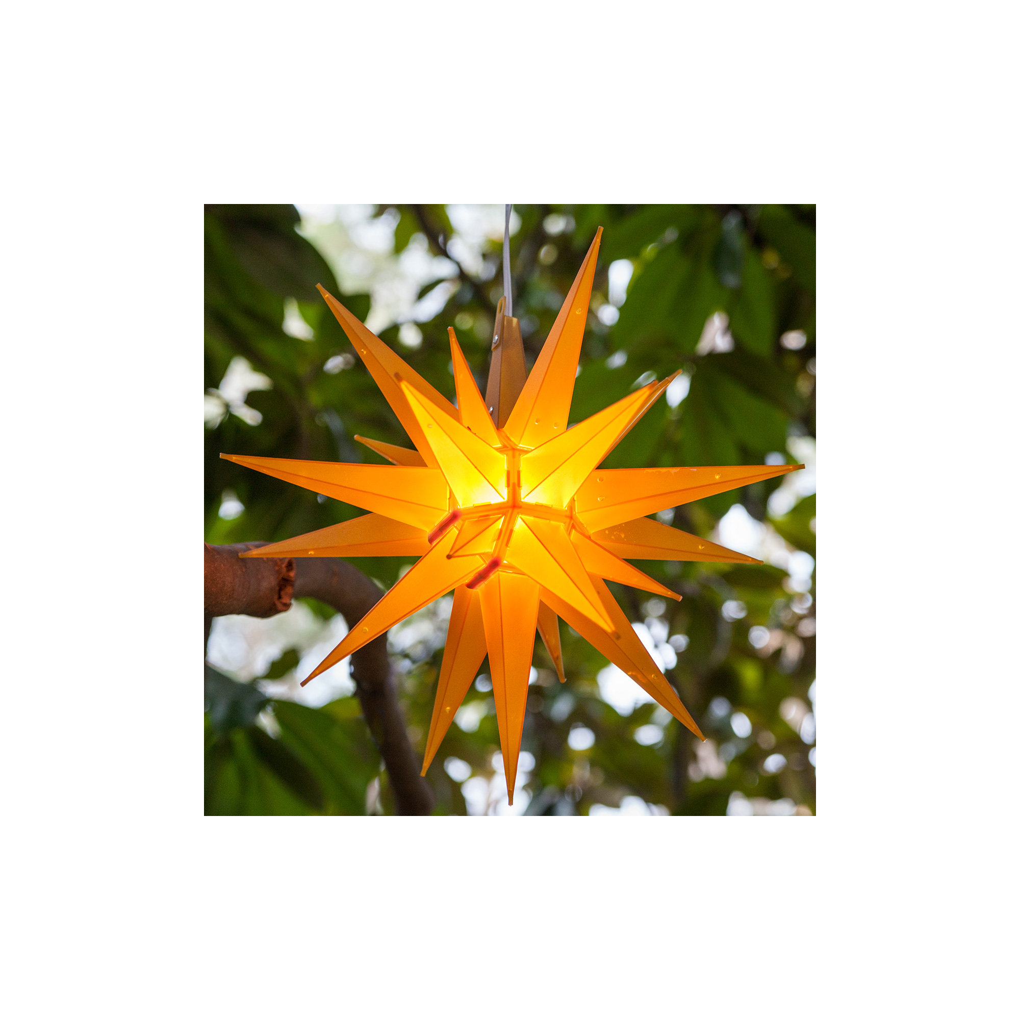 Moravian Star Lighted Display, Gold