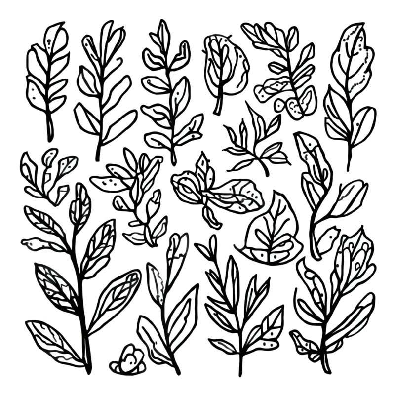 Tapis de bain noir et blanc à feuilles botaniques, L 34 po x L 21 po