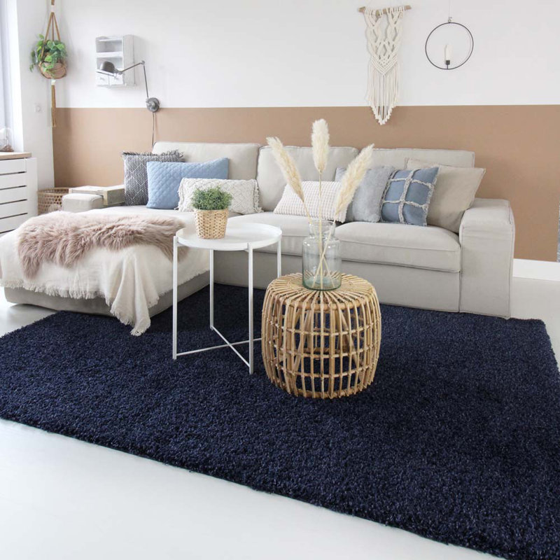 Aloysia Solid Colour Shag Area Rug, Rectangle 300 x 400cm