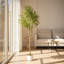 Faux olivier en pot-133254260-133254267-133254244