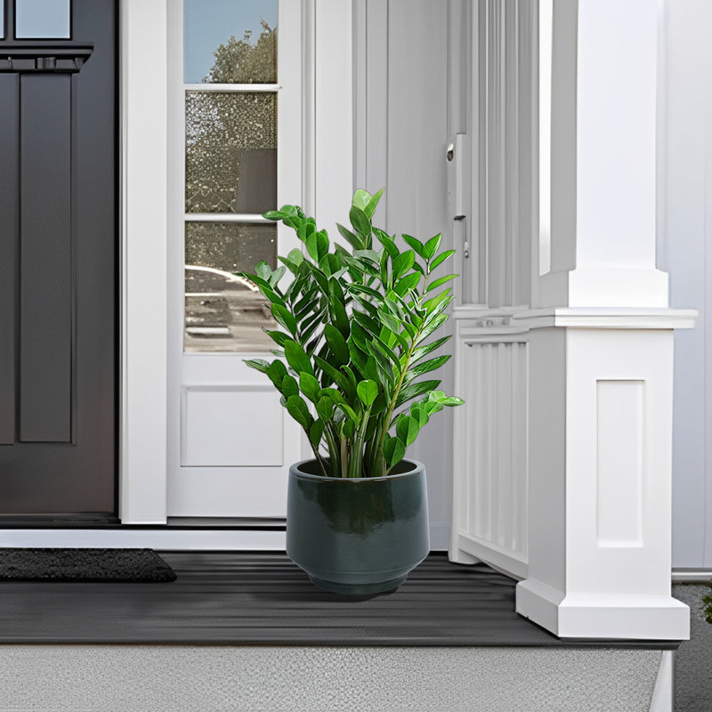 Handmade Solid Glaze Ceramic Planter Set Of 3, 15/11/9 Inch Diameter, No Pattern, For Monstera And Fiddle-Leaf Fig Outdoor Garden & Indoor Staircase Use, Breathable Clay, Dark Green