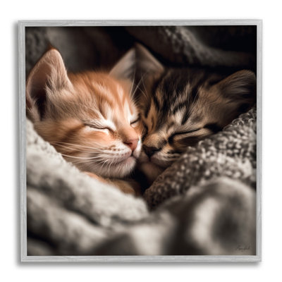 «Cuddling Kittens Portrait» par Roozbeh, reproduction de photo sur toile