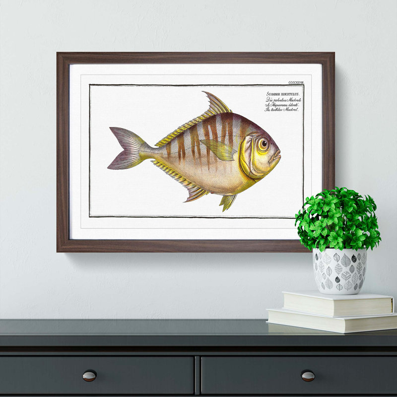Toothless Mackerel Fish by M.E. Bloch - Picture Frame Painting Print, 36cm H x 48cm W x 2cm D, Walnut Framed