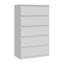 Denee 5 -Drawer Rectangle Accent Chest