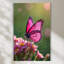 Art mural en verre trempé papillon rose-1786912620