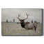 Toile tendue Grand Elk-Gallery-203117846