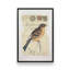 Impression sur toile Mountain Finch par Deborah Revell-1031801992-1031801995-1031801994