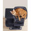 143cm H Cat Tree-100556302-65929857