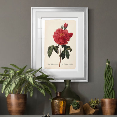 Red Botanical III - cadre photo, impression