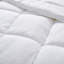 Édredon en duvet synthétique toutes saisons hypoallergénique-125179119