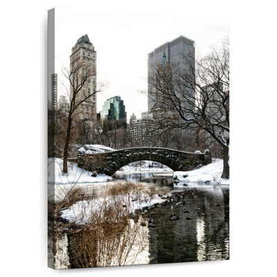 Aime New York City - Central Park Under Snow I