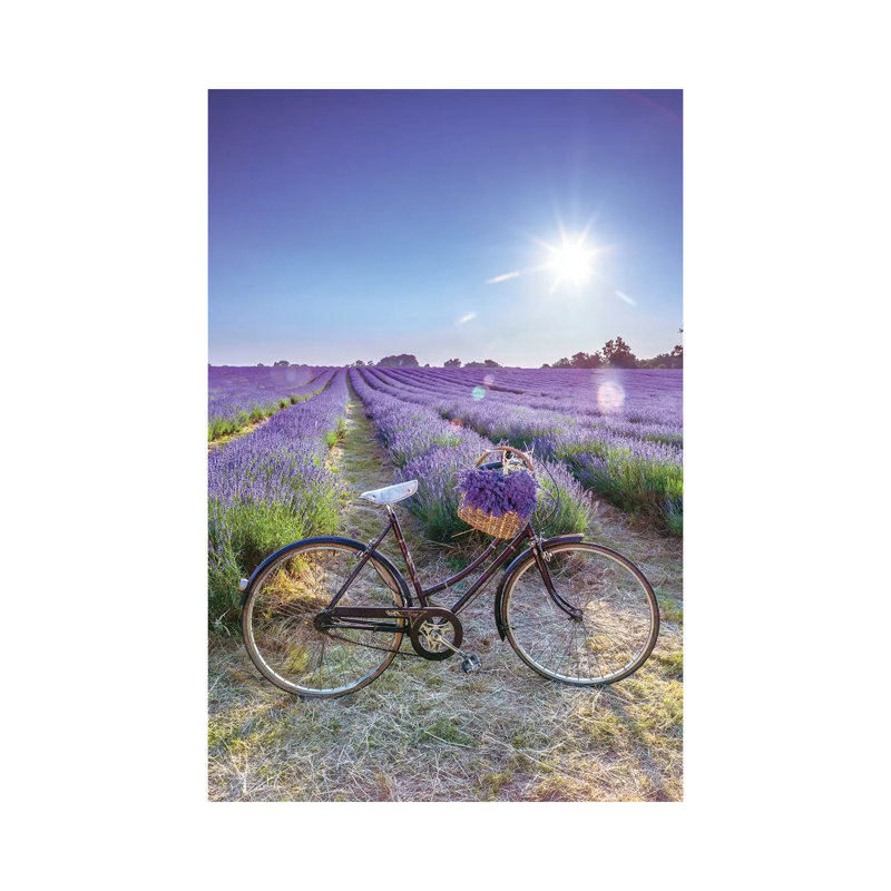 Lavender by Assaf Frank - Wrapped Canvas Print, 66.04 cm H x 45.72 cm W x 1.91 cm D