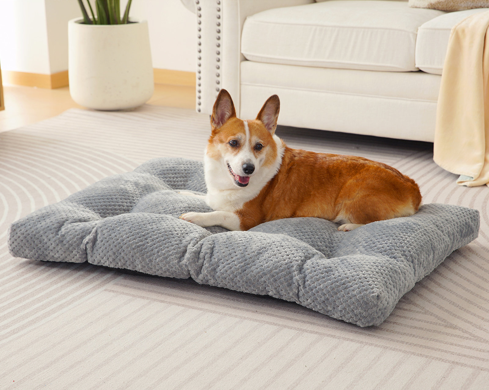 Extra Large Dog Best Pet Beds For Medium Dogs 15 Best Dog Beds In