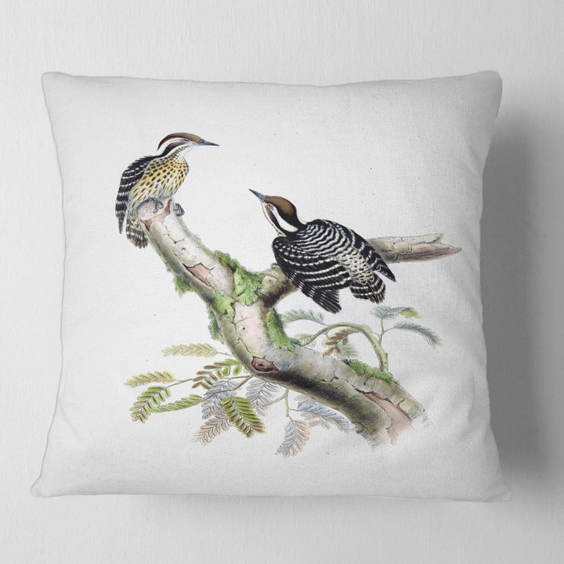 Housse de coussin carré et insert, 16" x 16"