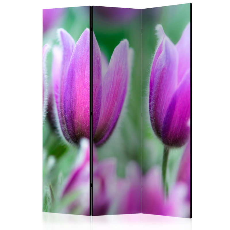 135cm W x 172cm H 3 - Panel Wood Folding Room Divider