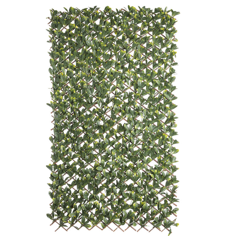 Madchen 200cm H x 100cm W Vinyl Expanding Trellis