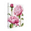 « winsome pivoines i », peinture sur toile tendue-1485551893