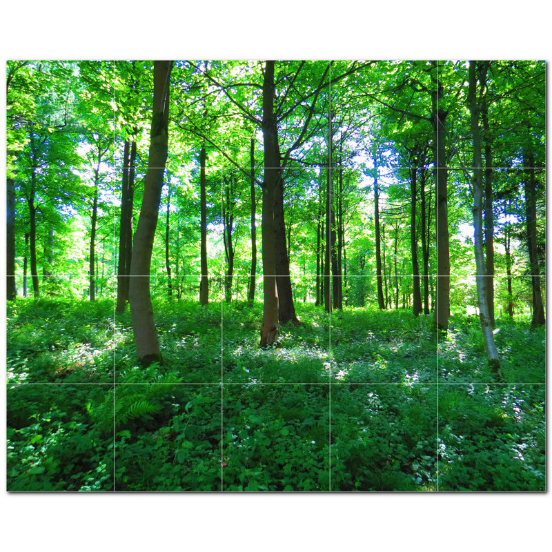 Photo murale décorative Arbres