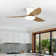 Karlena 40'' Ceiling Fan with LED Lights and Remote Control