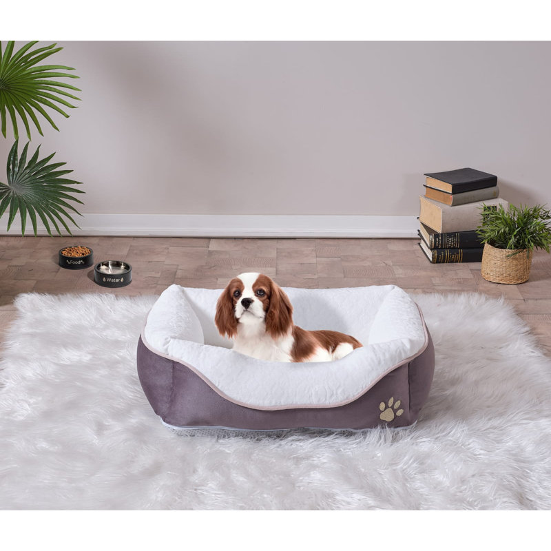 Lit pour animal de compagnie anthracite, taille moyenne 17 po x 23 po, H 7 po x l 23 po x P 17 po