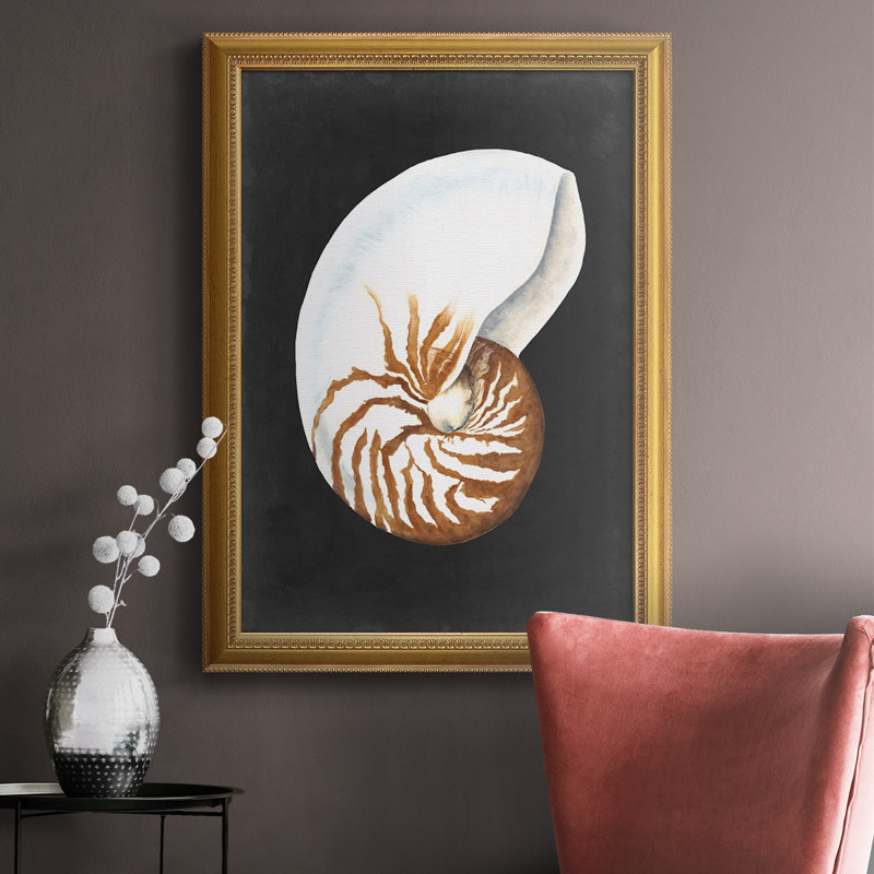 Graphic Nautilus Graphic Nautilus - reproduction de photo sur toile, H 20 po x l 16 po x P 2,5 po