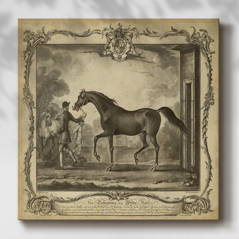 Chevaux distingués IV sur toile, H 24 po x l 24 po