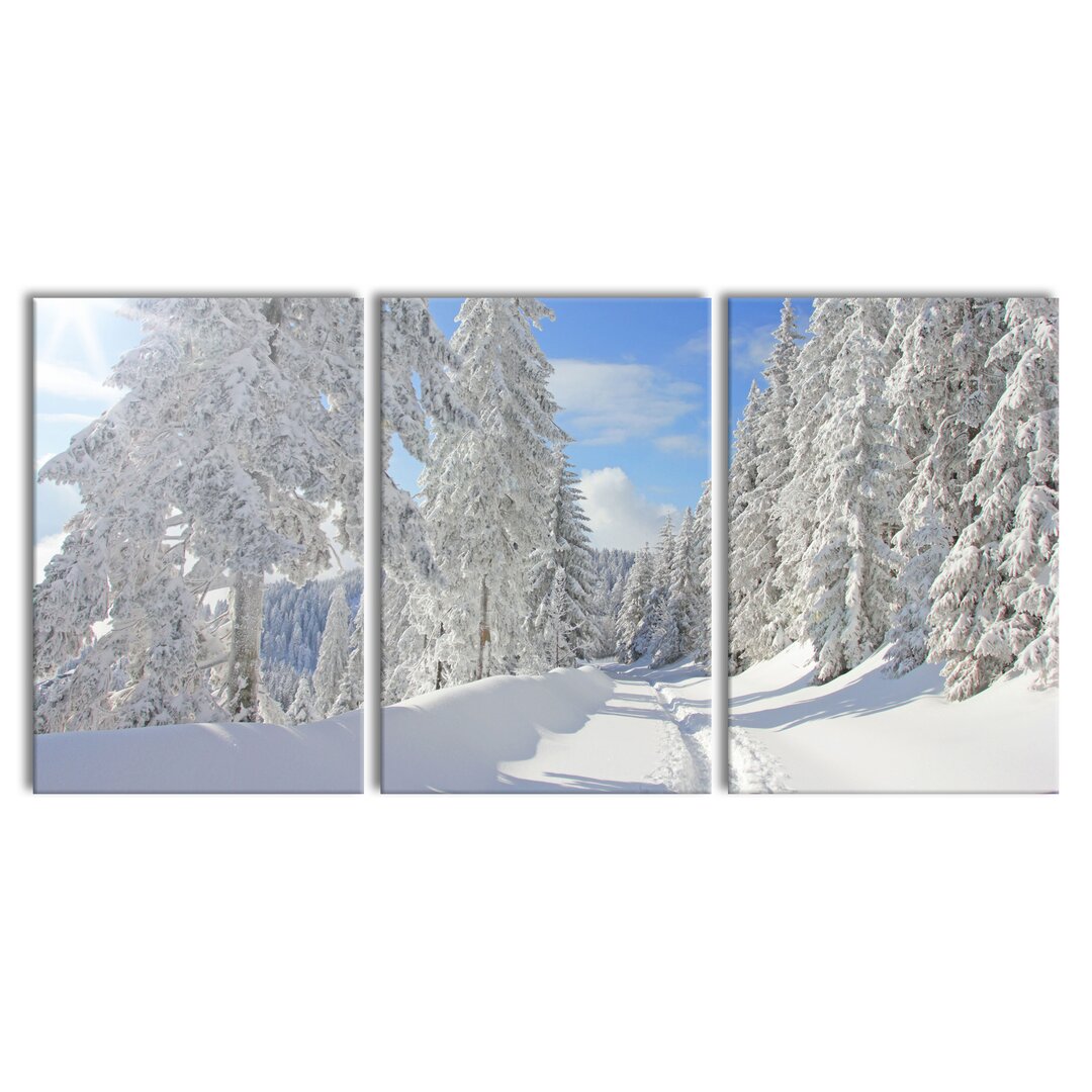 3-tlg. Leinwandbilder-Set Trees in a Winter Landscape