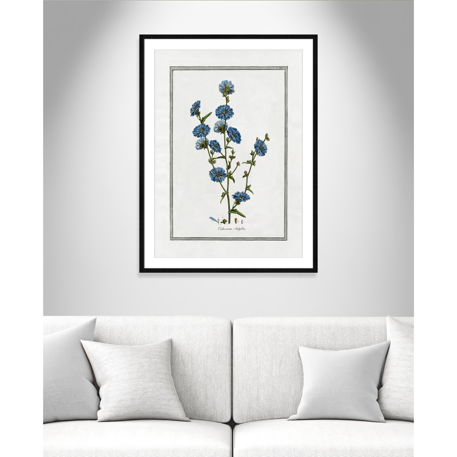 Colombe "Soft Botanical I" Print, Black Framed, 25.5" W x 35.5" H