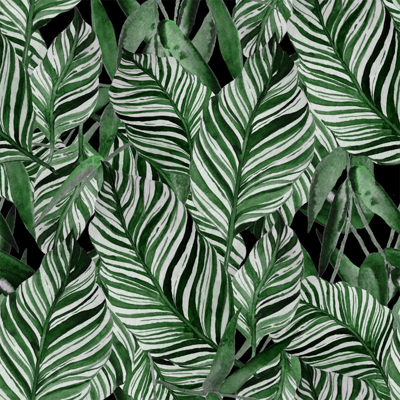 Evart Matte Mural, 312 x 219cm