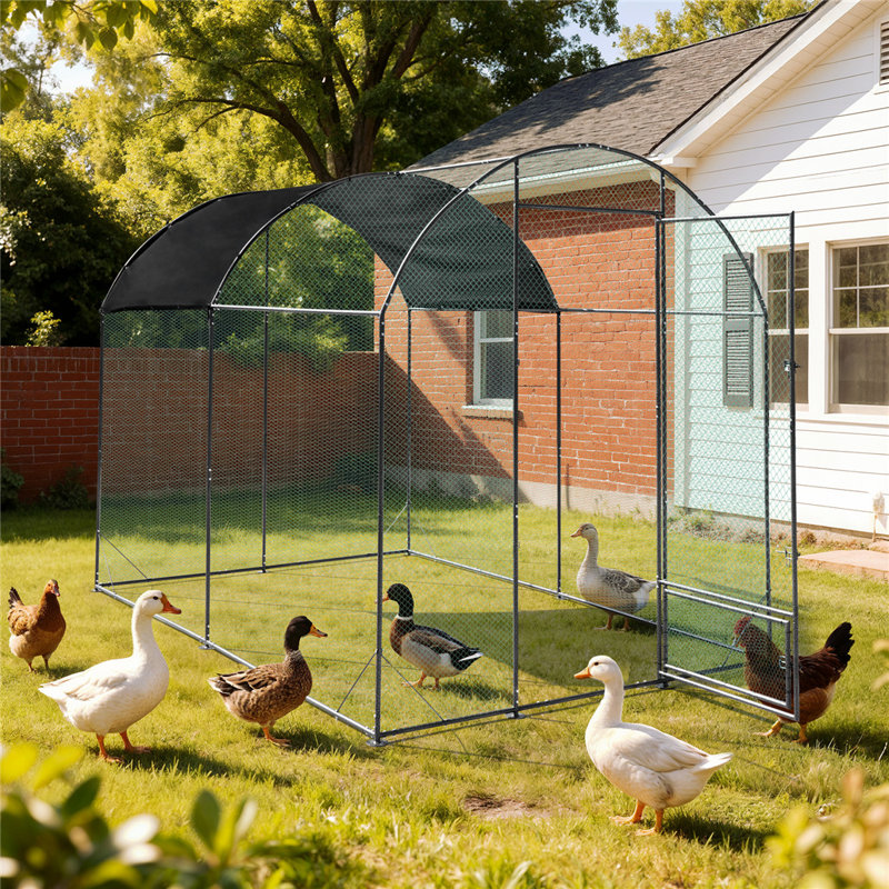 6m² Chicken Run