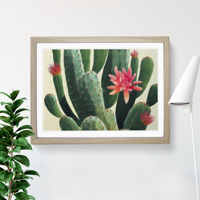 Splendorous Cactus - Framed Print