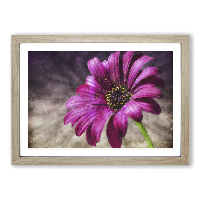 Purple Daisy - Picture Frame Painting Print, 62cm H x 87cm W x 2cm D, Oak Framed