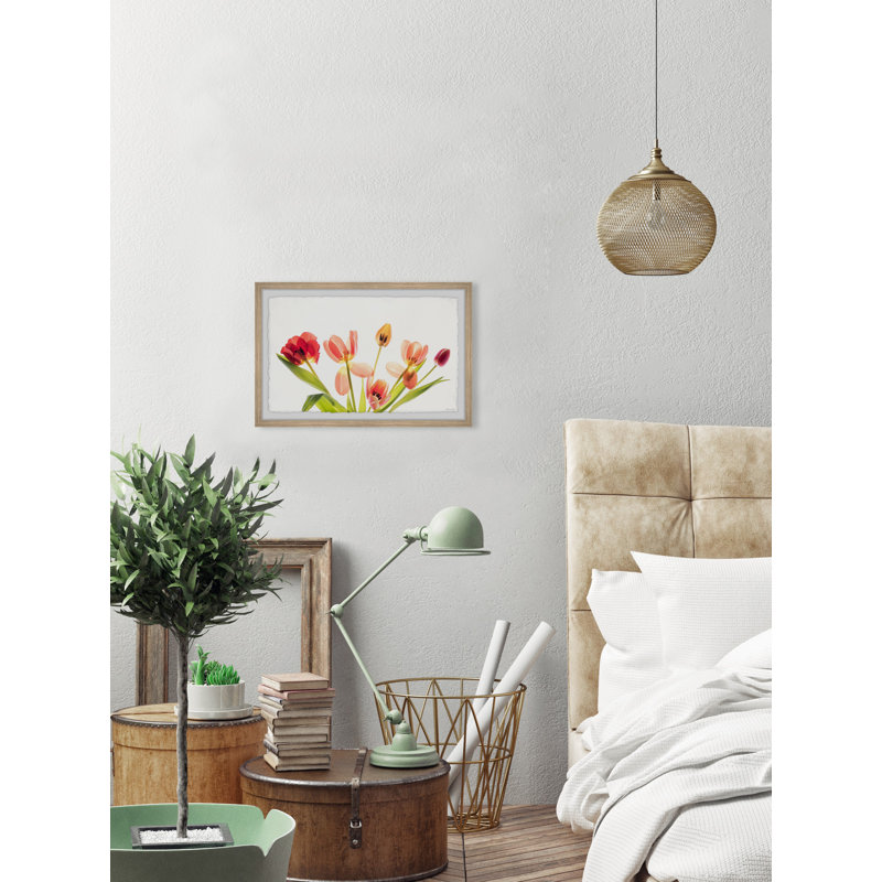 Pursue Your Dreams by Marmont Hill - Single Picture Frame Painting, 41cm H x 61cm W