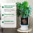 14.2" Tall Planters Set Of 2, Plant Pots, Self Watering Pots For Indoor Plants, Flower Pots With Built-In Drainage And A Water Level Monitor, For Patio, Porch, Living Room, Or Home Office-803991293