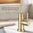 Topcraft Single Handle Single Hole Kitchen Drinking Water Faucet-102192965
