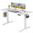 Koree Standing & Height-Adjustable Desks-1458745319-1458745324