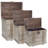 Charleigh 3 Piece Wood Accent Trunk