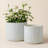 Elayna Ceramic Pot Planter-228007297