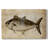 Big Catch II -Gallery Wrapped Cavas-1300203883