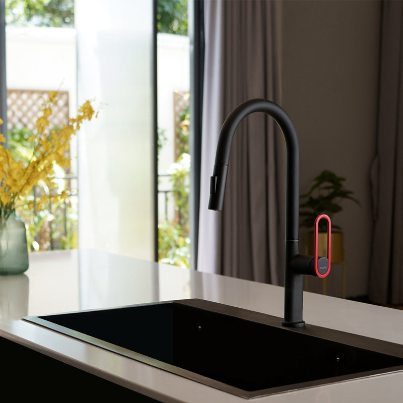 NEWATER Pull Down Kitchen Faucet
