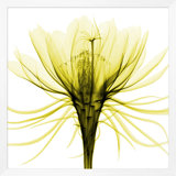 Hand-Picked Lime 2' Framed Graphic Art Print on Glass